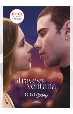 Portada de A través de mi ventana (Trilogía Hermanos Hidalgo #1)