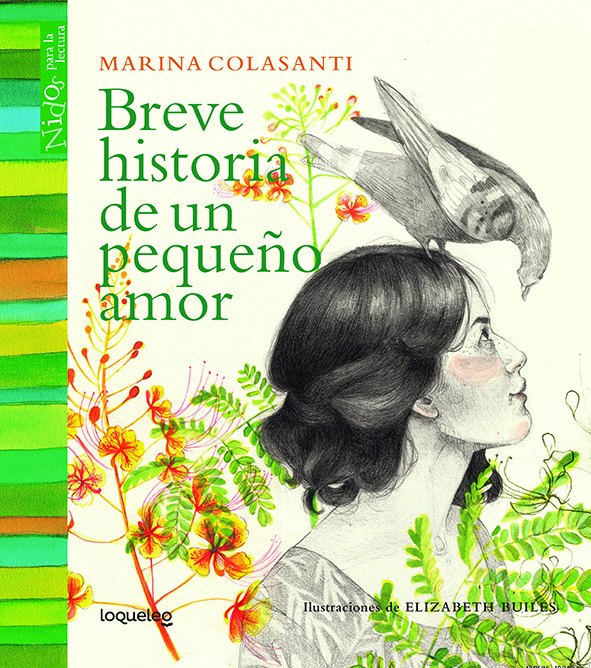 Portada de Breve historia de un pequeño amor – Loqueleo