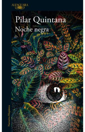 Portada de Noche negra