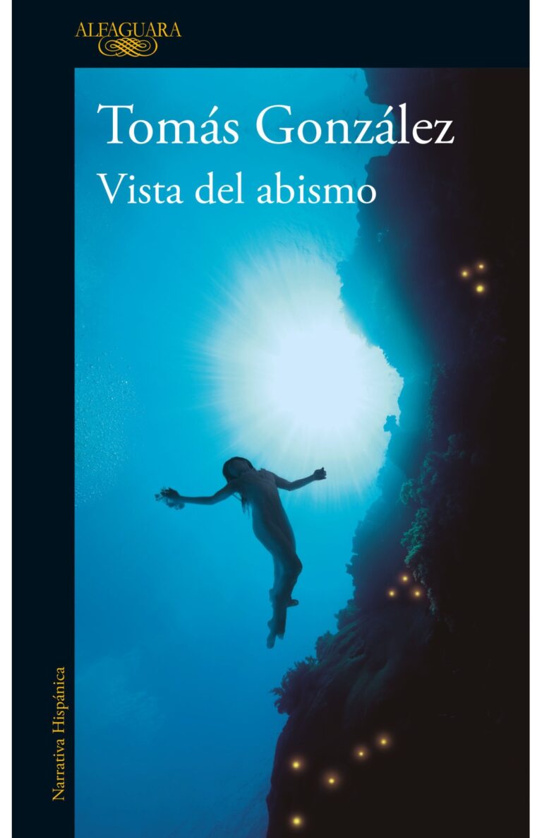 Portada de Vista del abismo