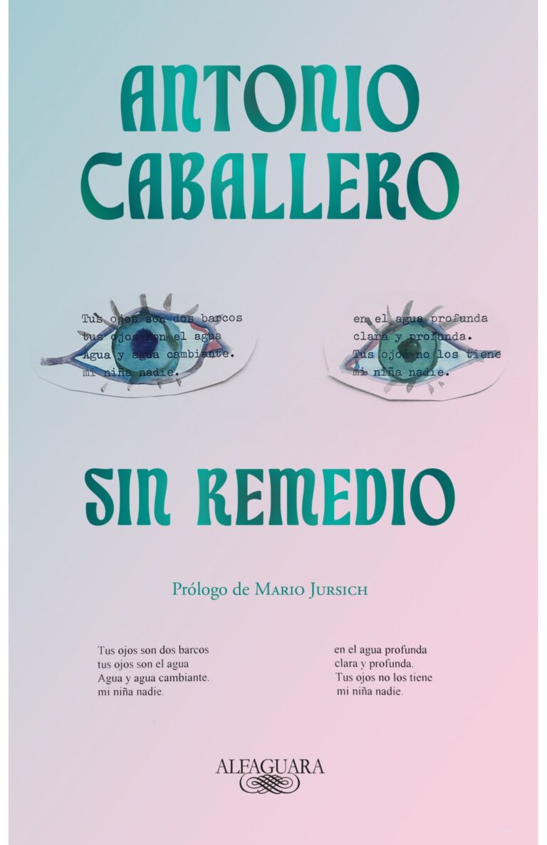 Portada de Sin remedio